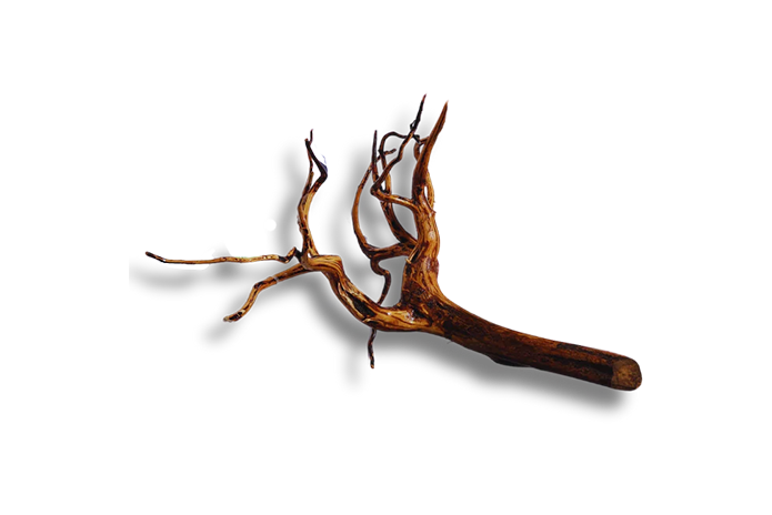 Tiger Forest Driftwood