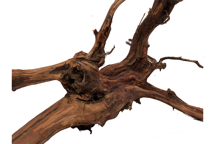 Tiger Forest Driftwood