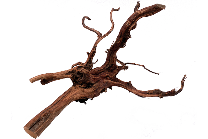 Tiger Forest Driftwood