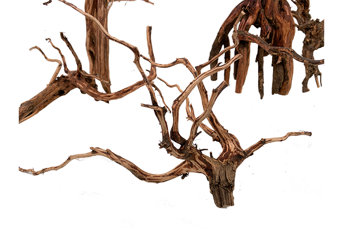 Tiger Forest Driftwood