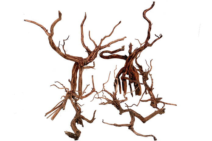 Tiger Forest Driftwood