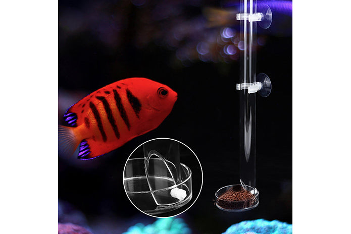 Acrylic Shrimp Fish Feeding Tube & Dish