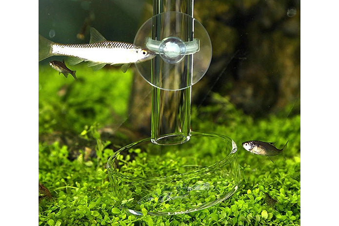 Acrylic Shrimp Fish Feeding Tube & Dish