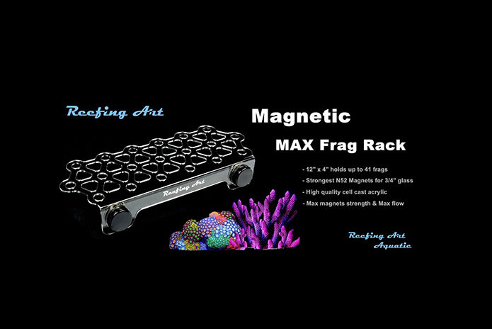 x41 Coral Frag Holder - Magnetic Medium Slim Rack