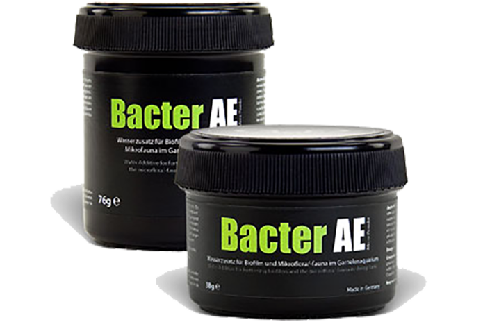 BACTER AE - Biofilm Booster