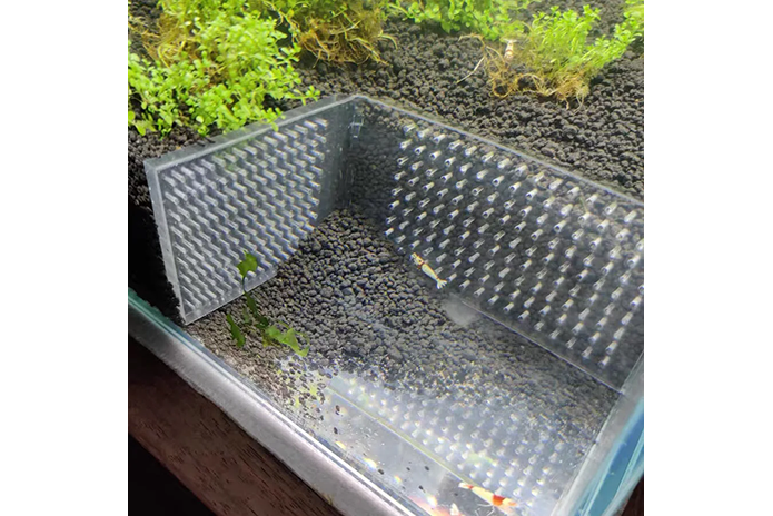 Acrylic Feeding Barriers