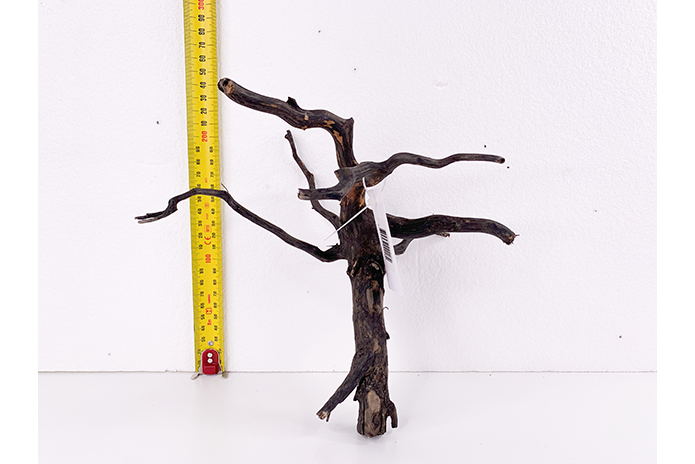 Black Forest Driftwood Showpiece - WA010