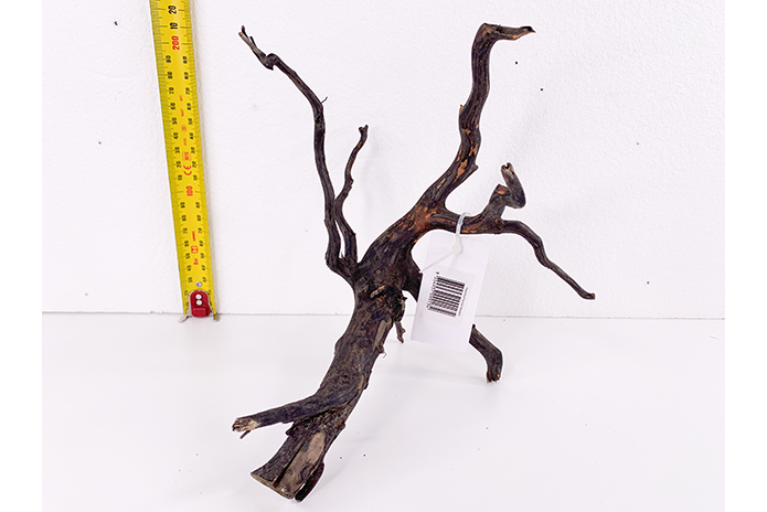 Black Forest Driftwood Showpiece - WA010