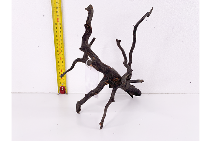 Black Forest Driftwood Showpiece - WA010