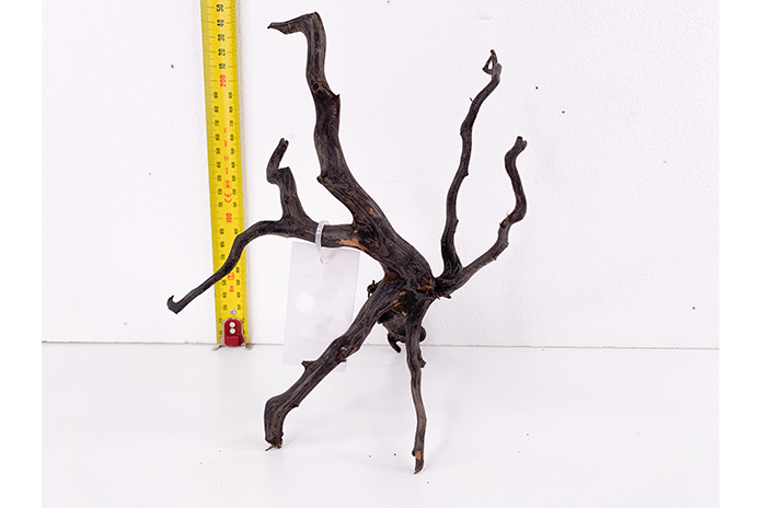 Black Forest Driftwood Showpiece - WA010