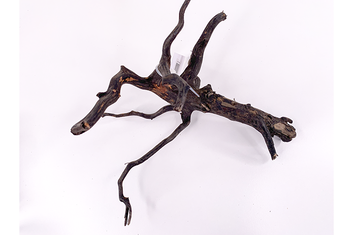 Black Forest Driftwood Showpiece - WA010