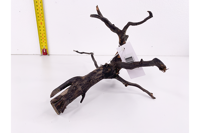 Black Forest Driftwood Showpiece - WA010