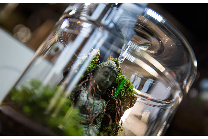 Glass Micro Terrarium - Mossarium