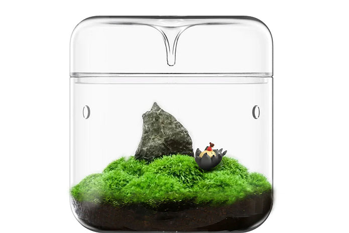 Glass Micro Terrarium - Mossarium