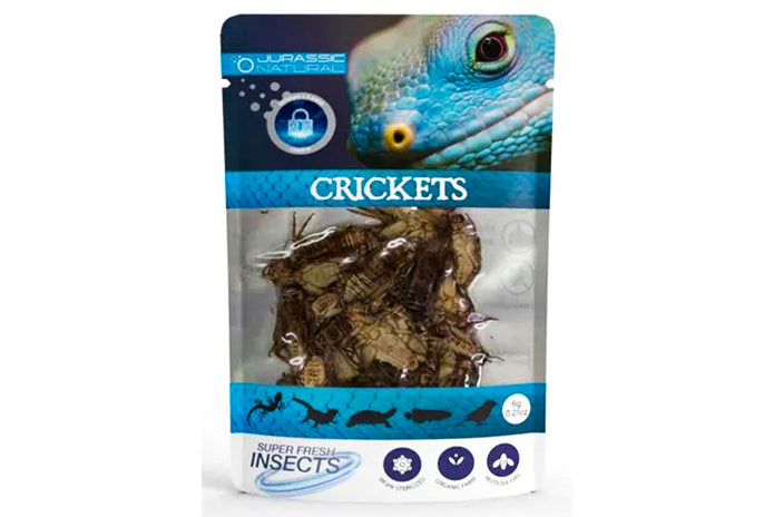 Jurassic Natural Super Fresh Crickets 6gr 15 Pack