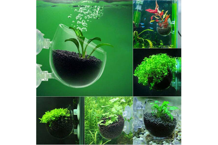 Aquarium Glass Pot