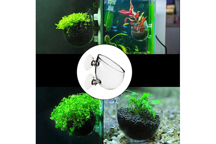 Aquarium Glass Pot